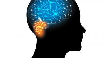 Brain abstract for intelligence of future technology and science